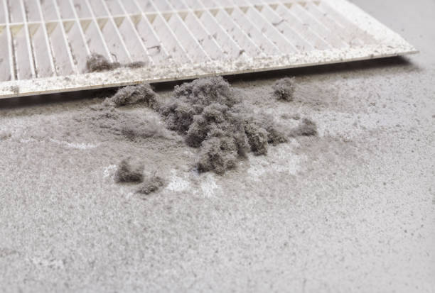 Best Commercial HVAC Duct Cleaning  in Harrington, DE